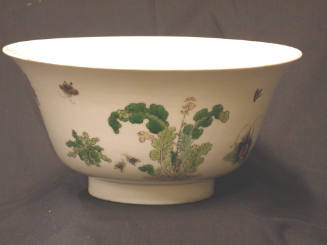 Bowl with Plants and Insects