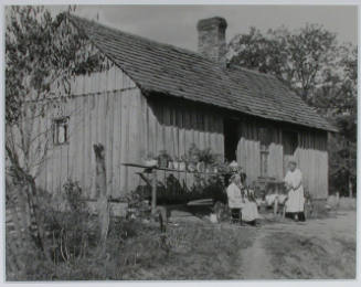 "Home of a renter on a small farm in Sevier County, Tennessee. Note the attempt to beautify the place with potted plants, ferns, etc.", 10/21/1933