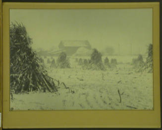 Farm and Cornstalks in the Snow