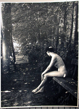 Nude on Bench in Woods