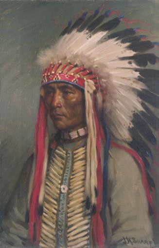 Portrait of an Indian Chief