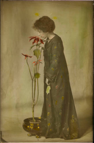 The Poinsettia Girl