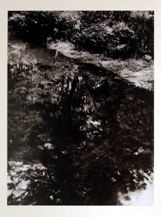 Untitled (Woods reflected in water - vertical)