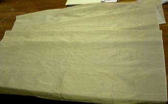 Silk Blouse Fabric (Sari)