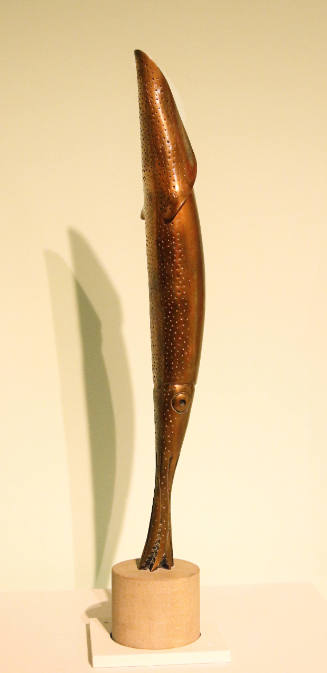 Squid in Space - Variations on a Theme by Constantin Brancusi