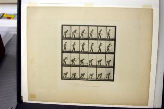 Animal Locomotion, Plate 386 (Man with Pick-Axe)