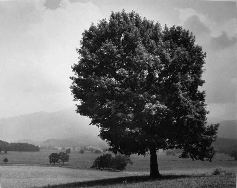 Cades Cove