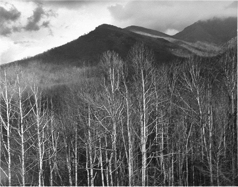 Foothills, Mt. Laconte, Great Smoky Mountains