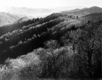 Looking South, Great Smoky Mountains