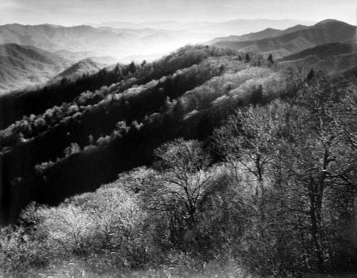 Mountain Side, Great Smoky Mountains