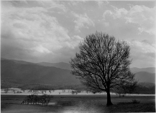 Cade's Cove, Great Smoky Mountains