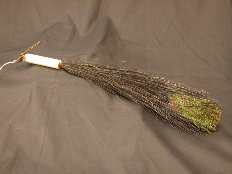 Peacock Feather for an Imperial Hat