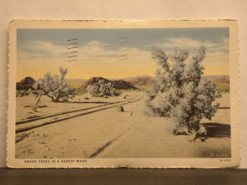 Picture Postcard: "Smoke Teres in a desert wash"