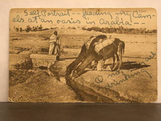 Picture Postcard: "Self Portrait, Feeding My Camels"