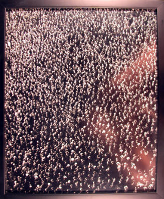 Untitled (View of a Crowd from Above)