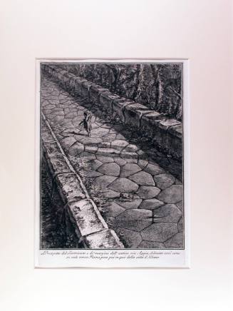 Prospetto del Lastricato e de'Margini dell'Antica via Appia, plate XXV.