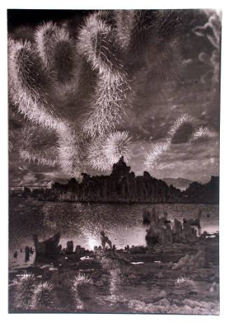 Mono Lake Composite with Cactus