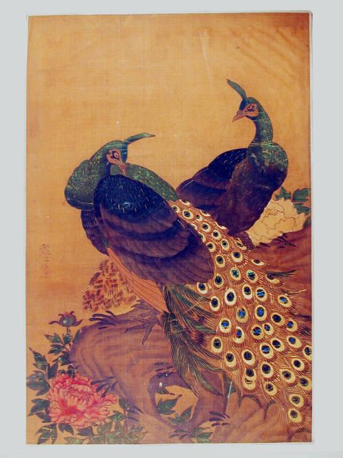 Two Peacocks