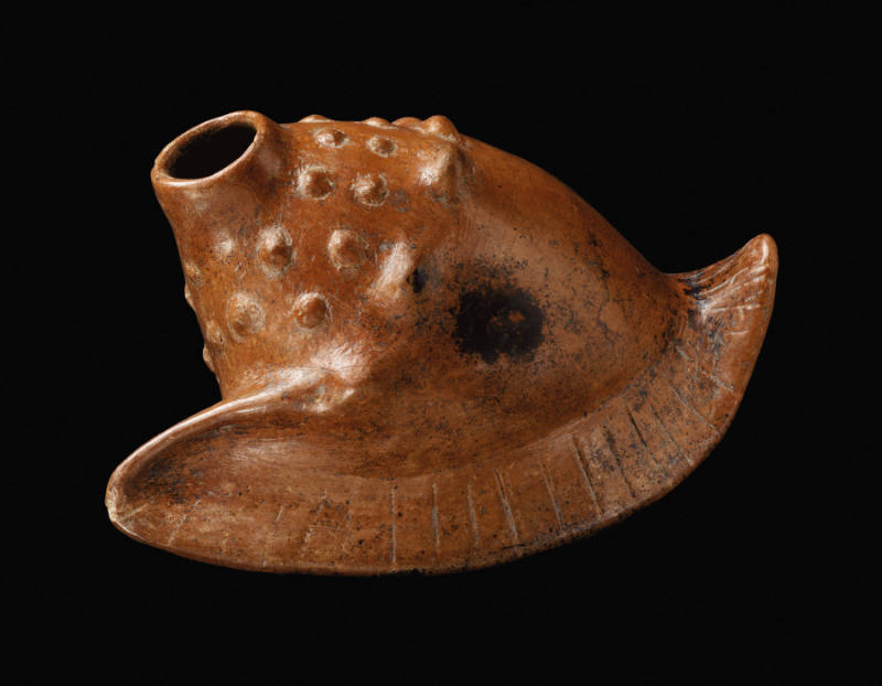 Strombus Conch Shell Effigy Vessel