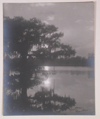 Untitled (Lake scene, Florida?)