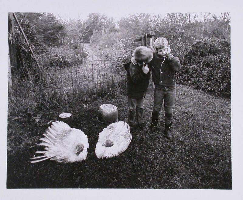 Barry, Dwayne and Turkeys, Danville, VA 1969