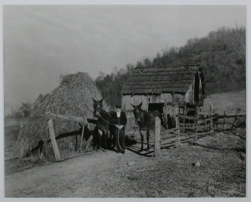 "Another view of Gaines McGlothin, R. F. D. #2, Kingsport, Tennessee. McGlothin is paying for his land as he works. He owns 20 acres, 15 of which are cleared, and 5 in woodland. He also rents additional land for cultivation. He had 35 acres in corn an