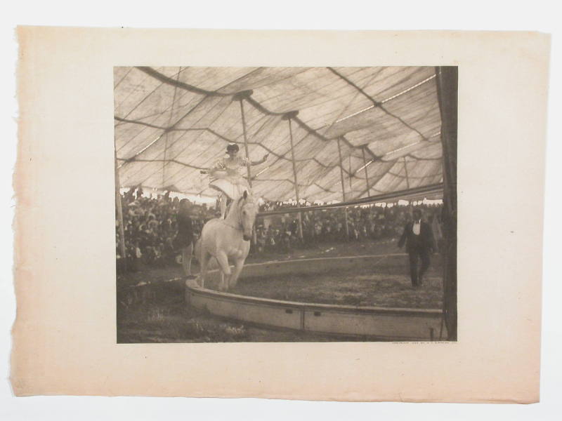 In the Circus