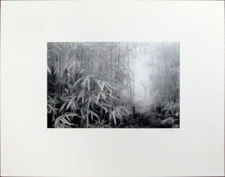 Untitled (Bamboo Grave)