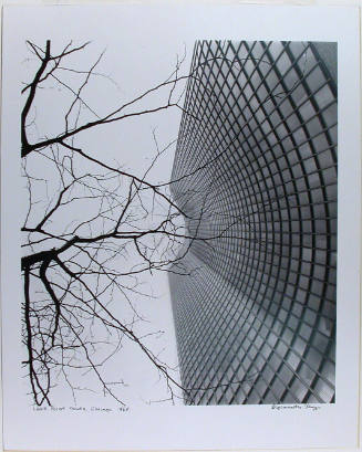 Lake Point Tower, Chicago