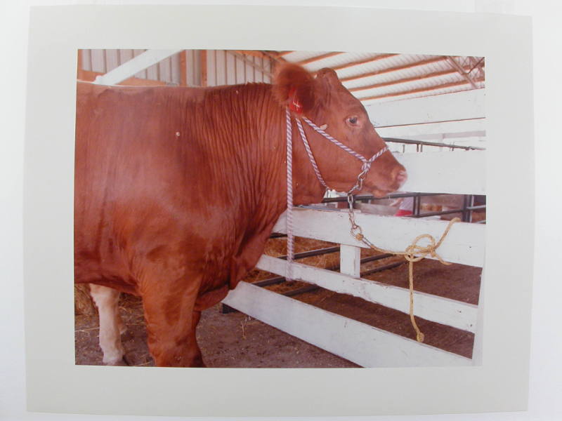 #4 Nance County Fair, Fullerton, Nebraska