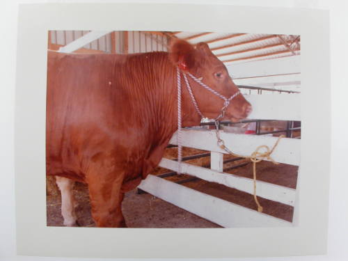 #4 Nance County Fair, Fullerton, Nebraska