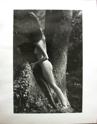 Sunlit Nude with Tree