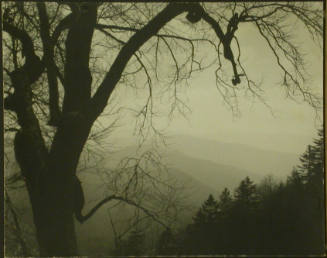 Dawn in the Smokies