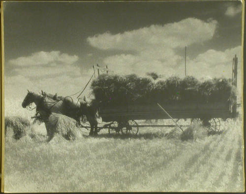 Hay Wagon