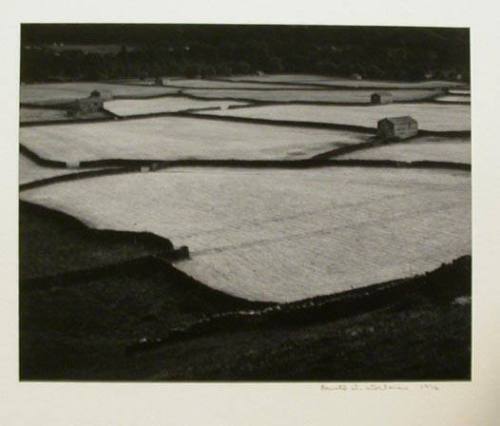 Barns, Fields & Fences, North Yorkshire Dales