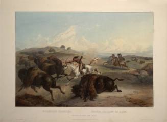 Indians hunting the bison
