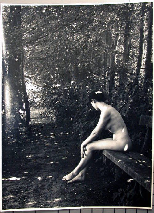 Nude on Bench in Woods