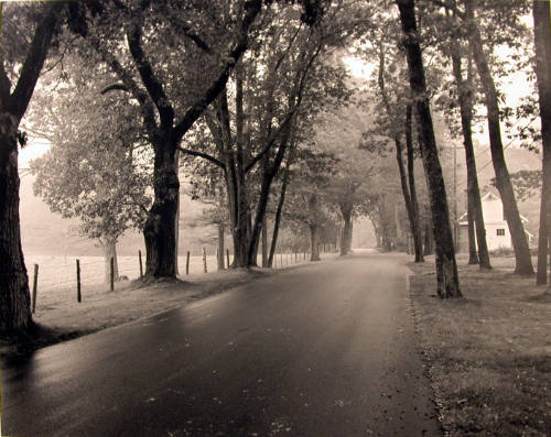 Camden Foggy Lane