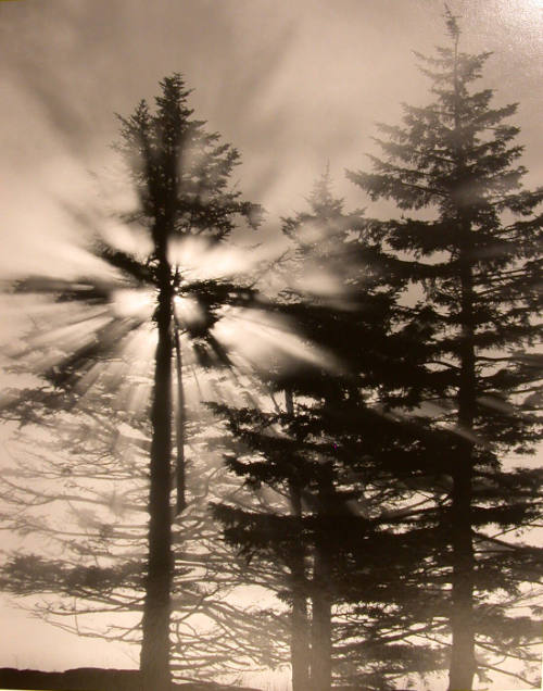 Sunrise at Clingman's Dome