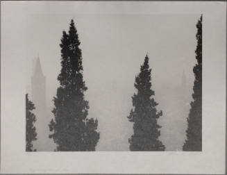 Cypresses, Verona