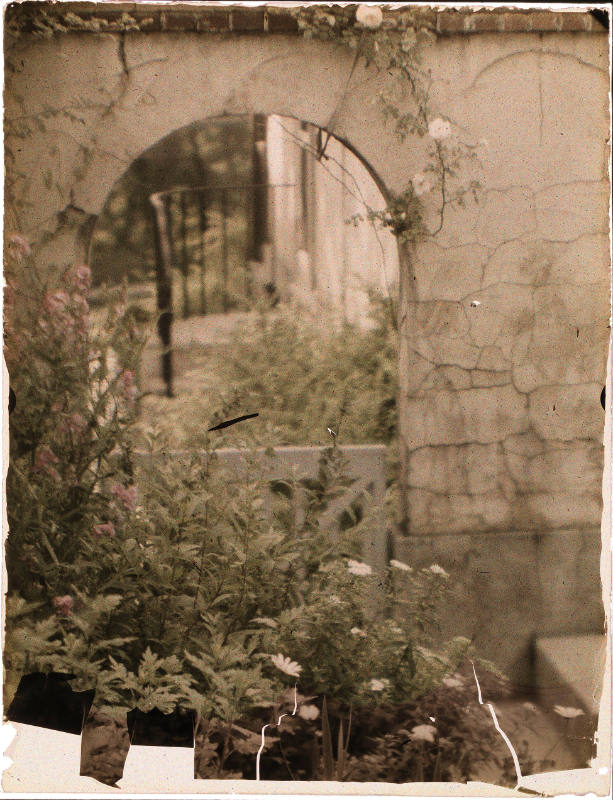 Arched Gate with Flowers