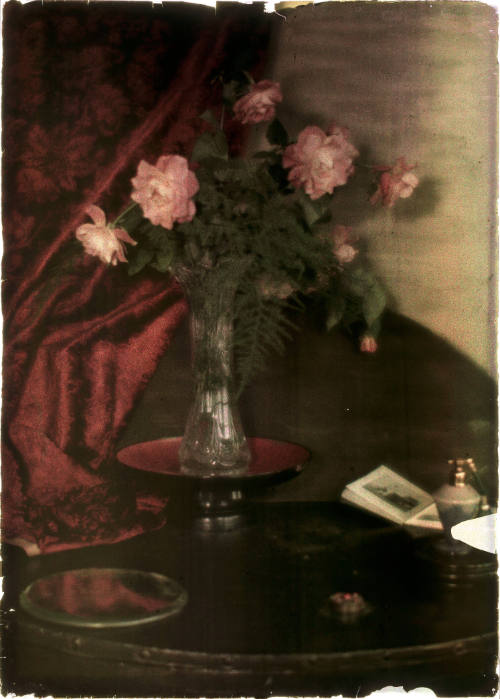 Bouquet of Roses Against Red Velvet Background
