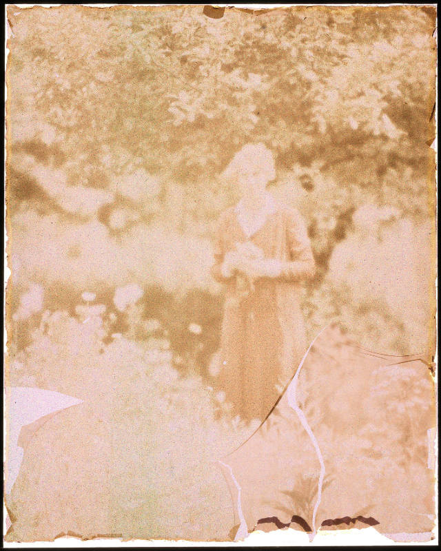 Woman in Field of Flowers