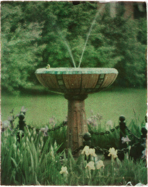 Jane Reece's Fountain