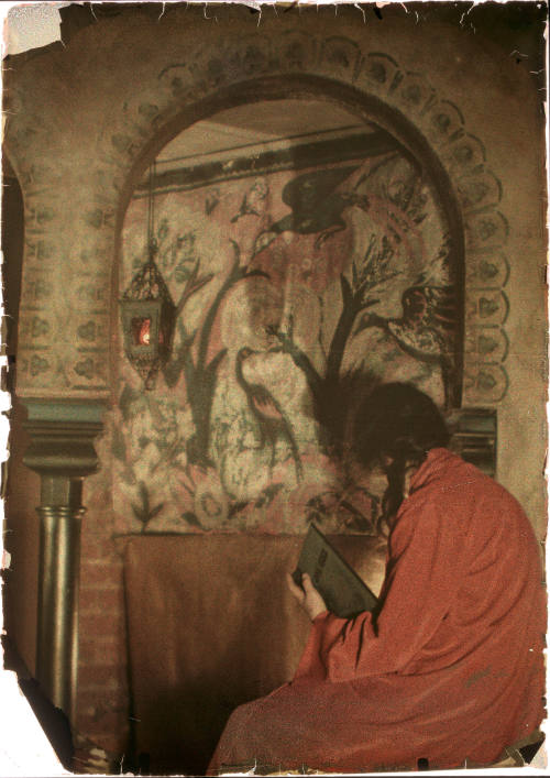 Woman in Red Gown Reading, Tapestry Background