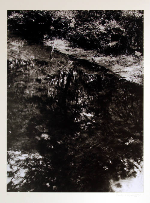 Untitled (Woods reflected in water - vertical)