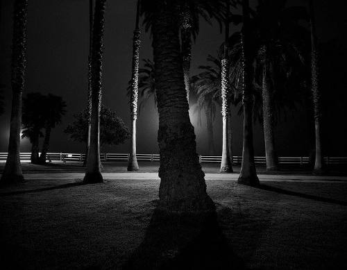 Palisades Park, Santa Monica