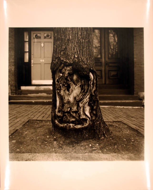 Louisburg Square, Boston