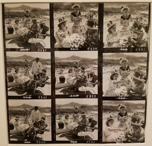 Nine Contact Prints