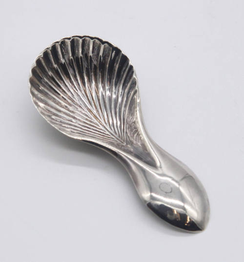 Caddy Spoon